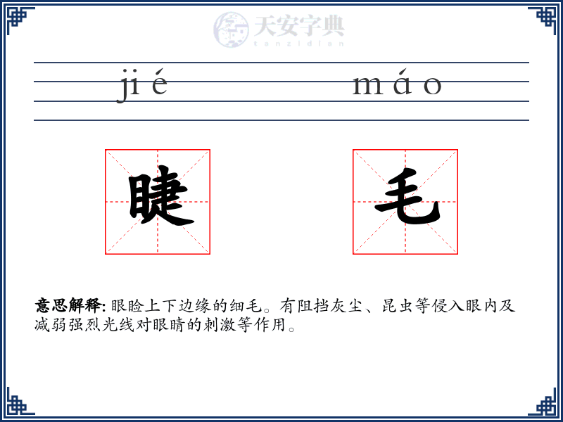 睫毛