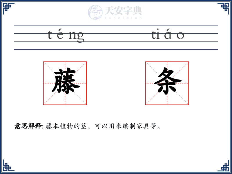 藤条