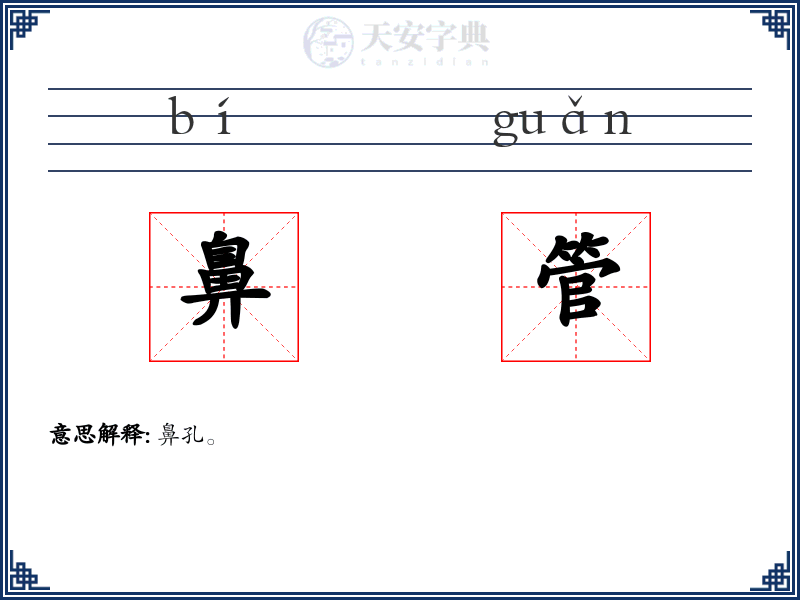 鼻管