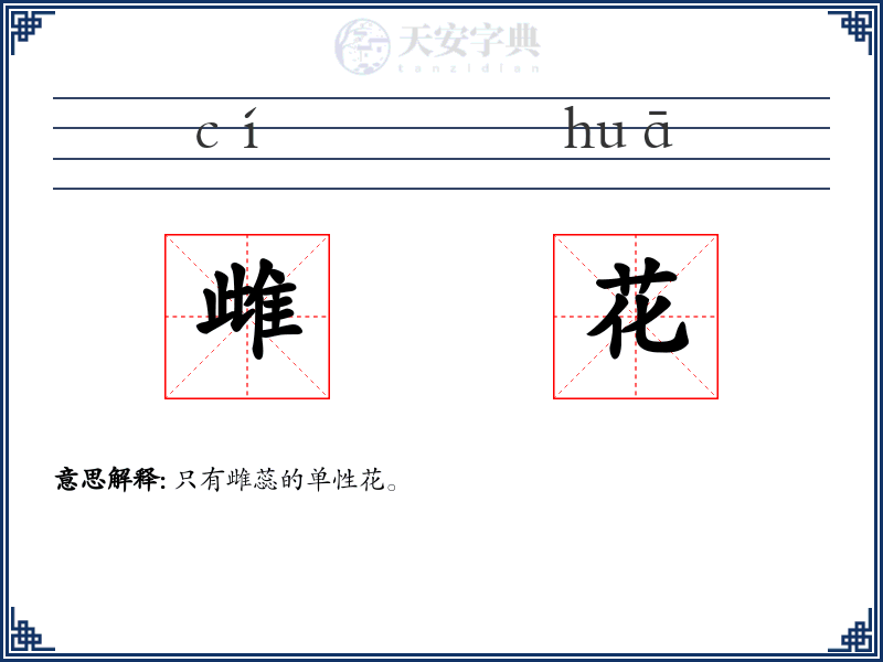 雌花