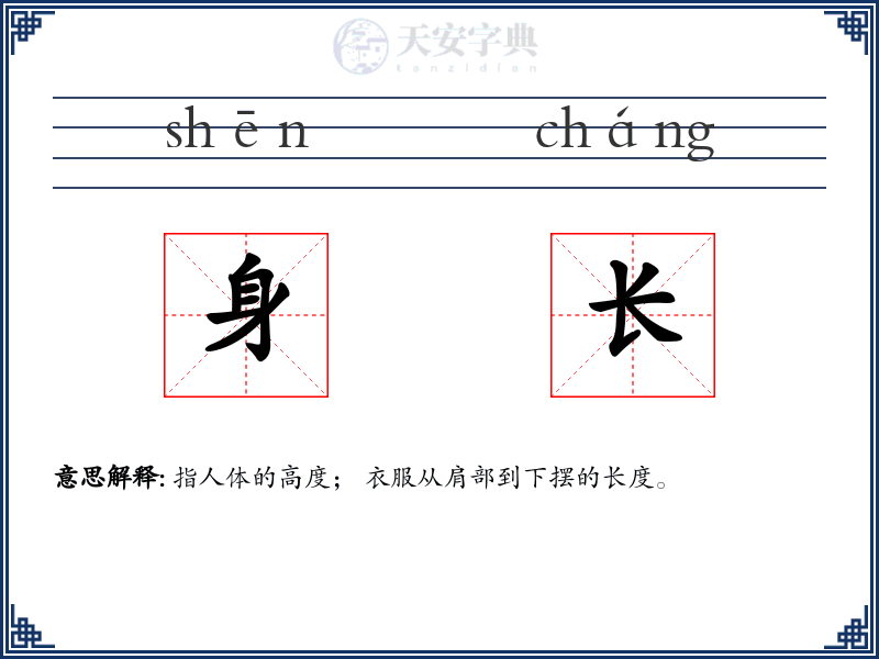 身长