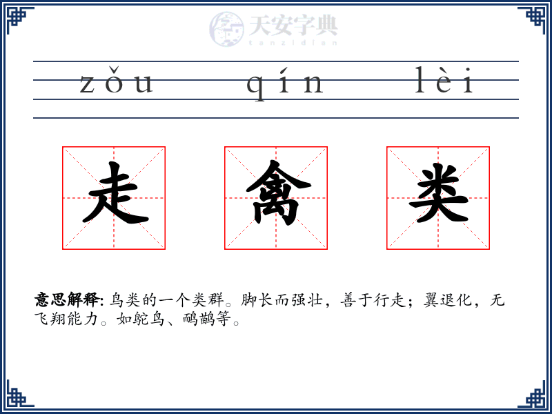 走禽类