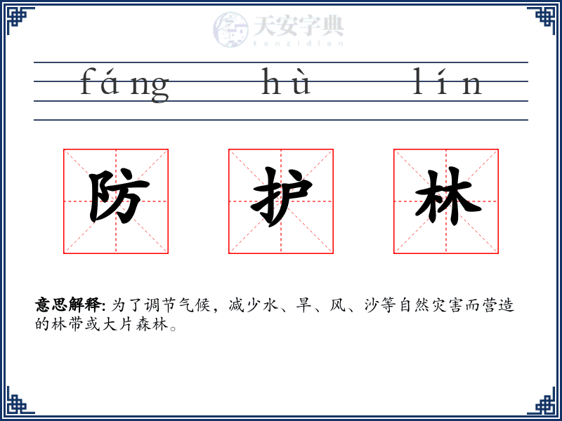 防护林