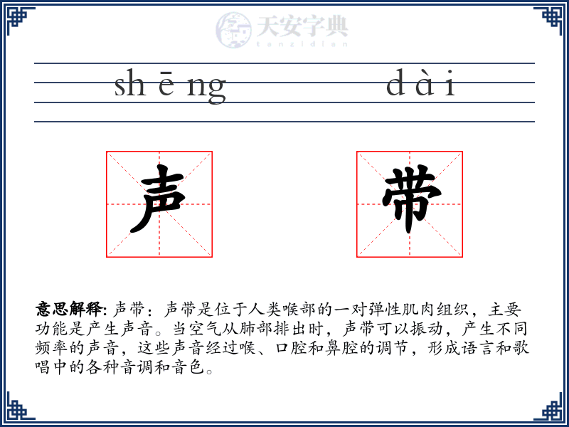 声带