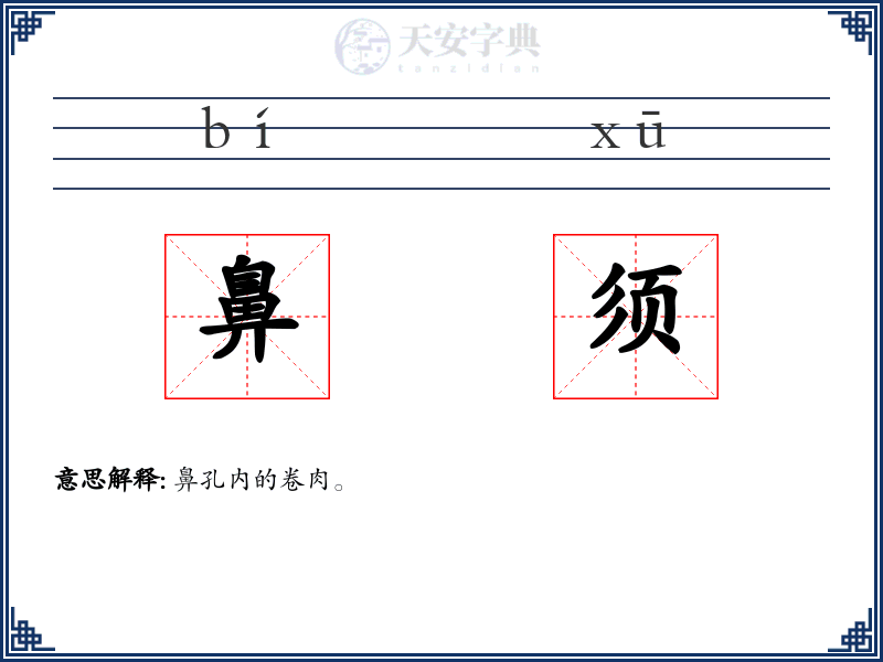 鼻须