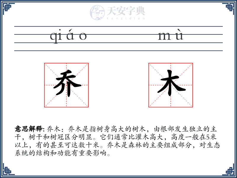 乔木