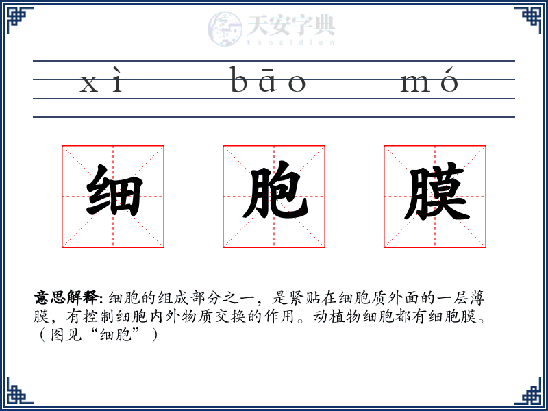 细胞膜