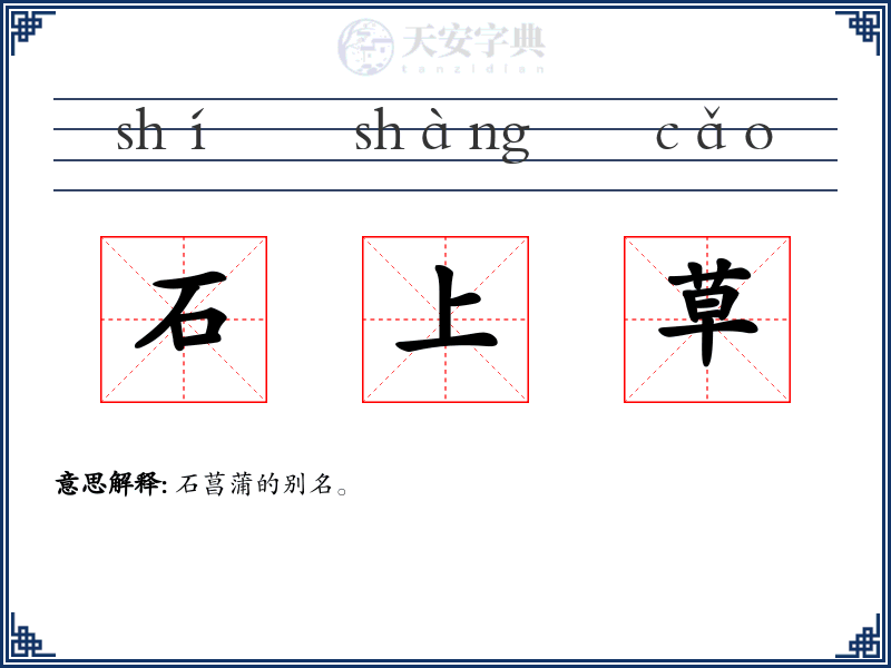 石上草
