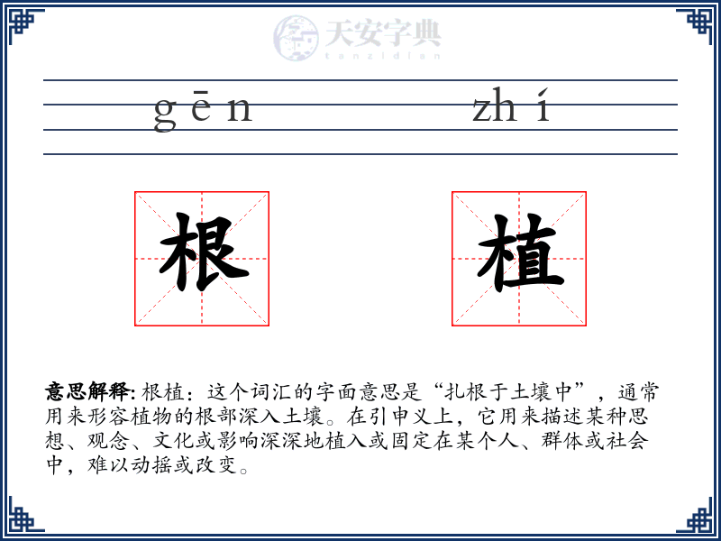 根植