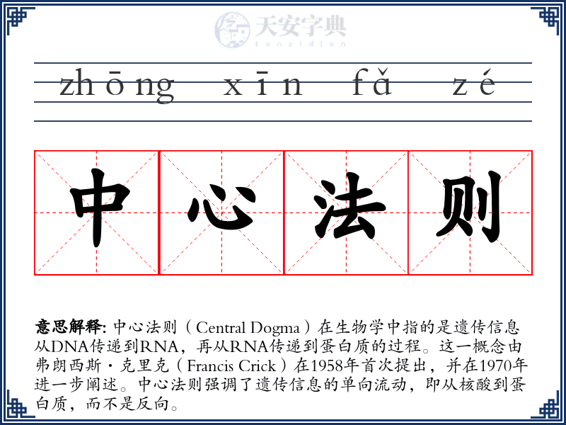 中心法则