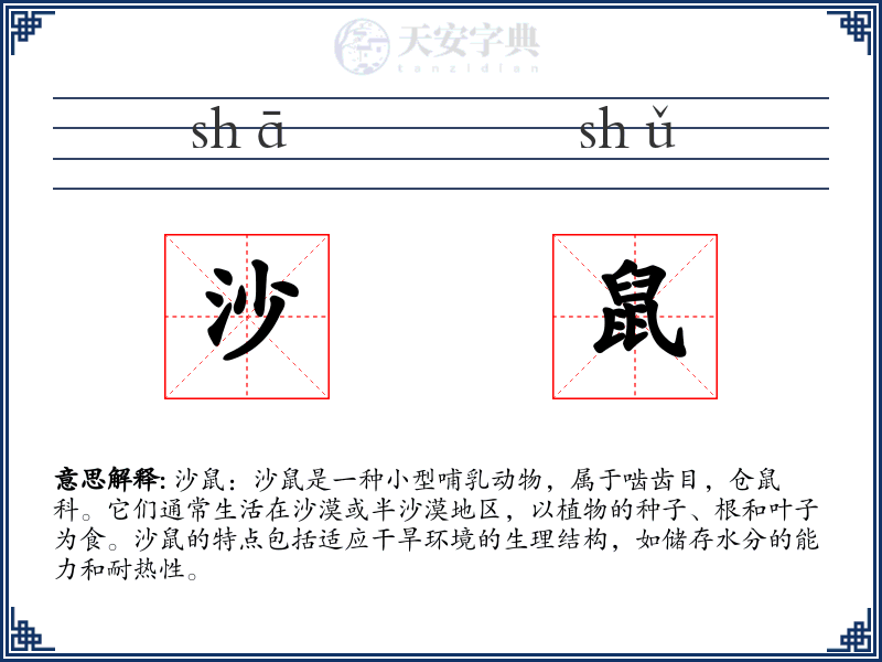 沙鼠