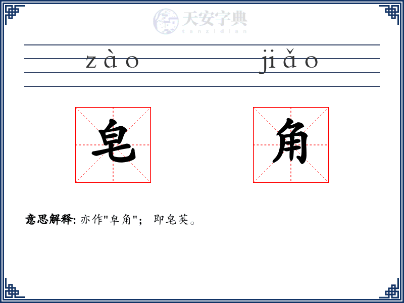 皂角