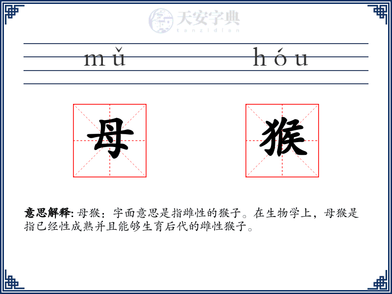 母猴