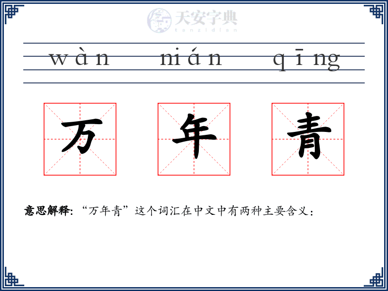 万年青
