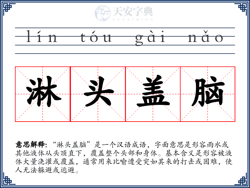 淋头盖脑