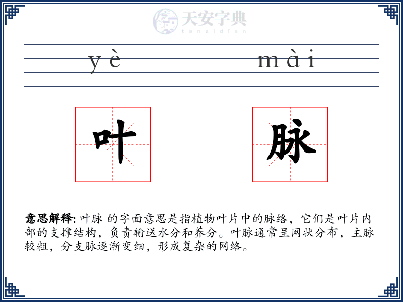叶脉