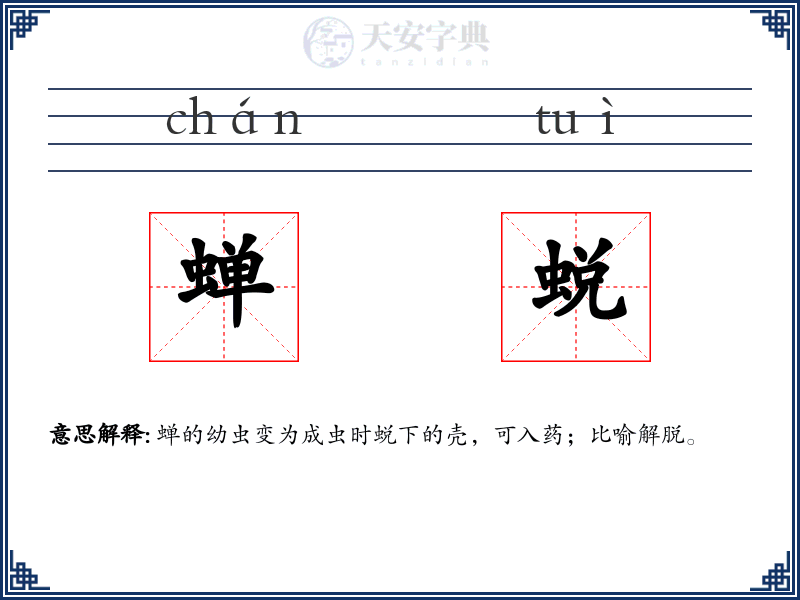 蝉蜕