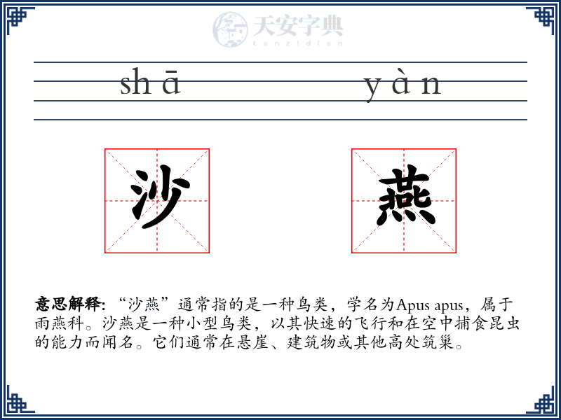 沙燕