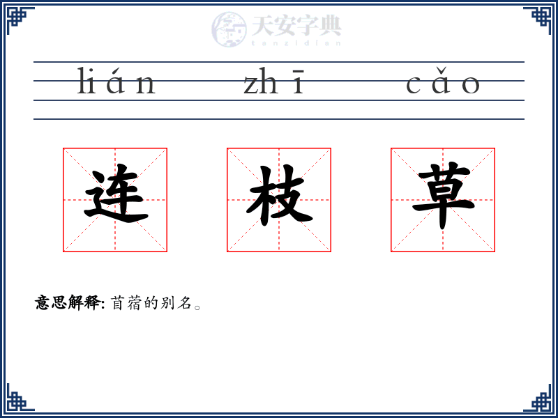 连枝草