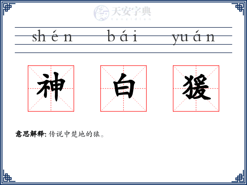神白猨