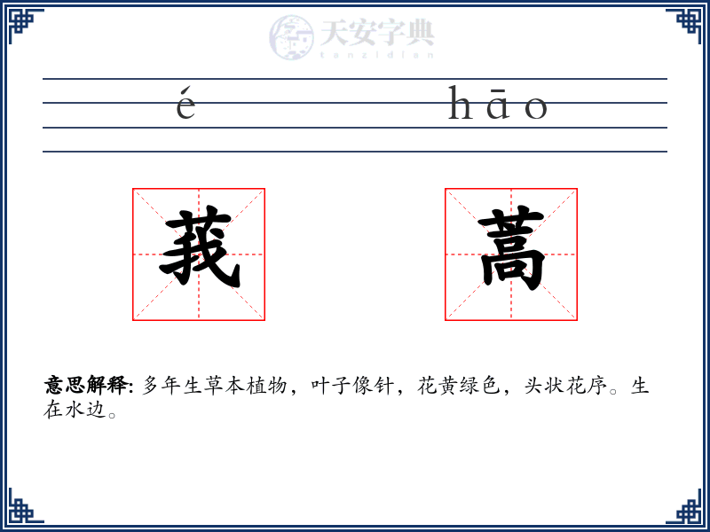莪蒿