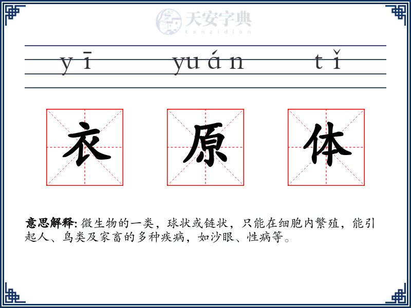 衣原体