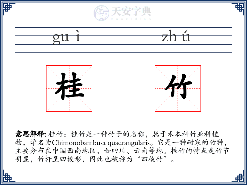 桂竹