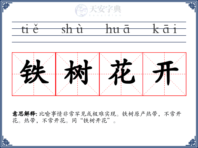 铁树花开
