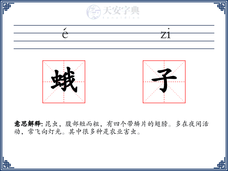 蛾子