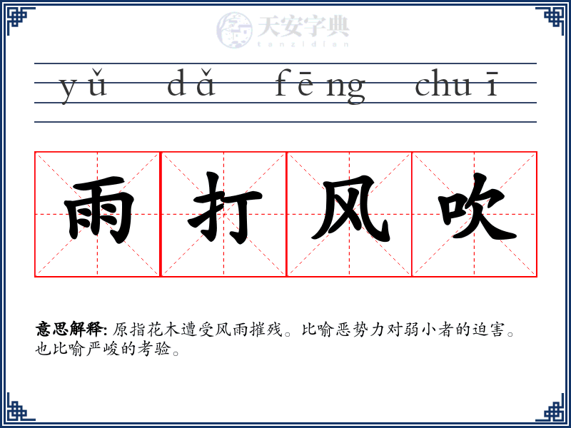 雨打风吹