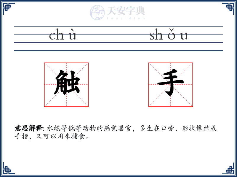 触手