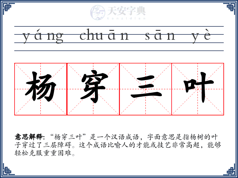 杨穿三叶