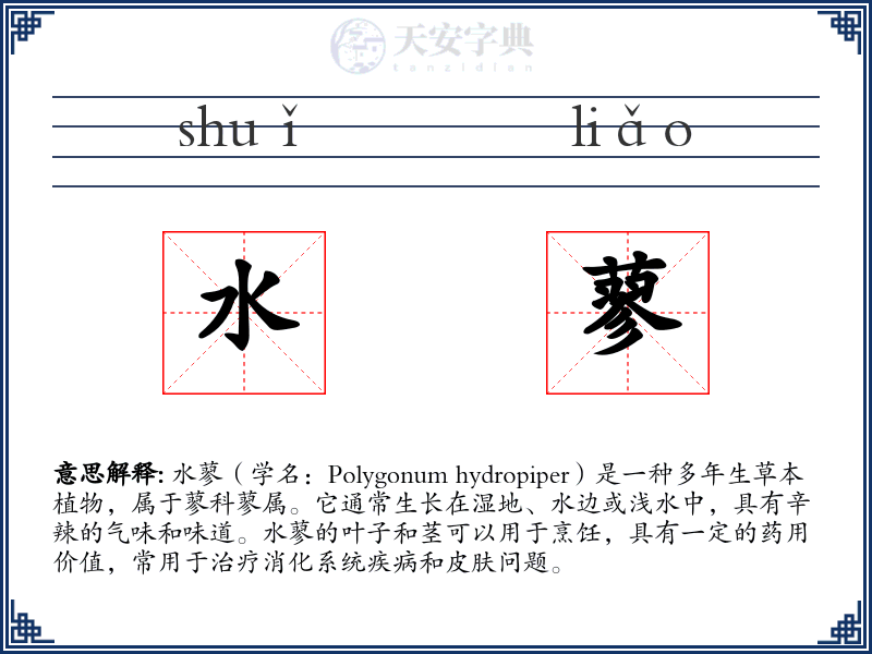 水蓼