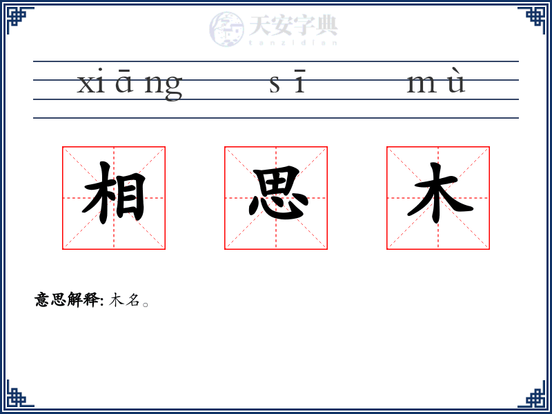 相思木