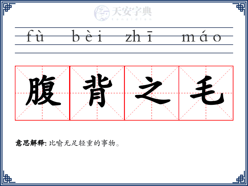 腹背之毛