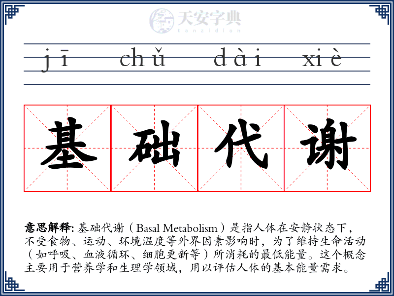 基础代谢
