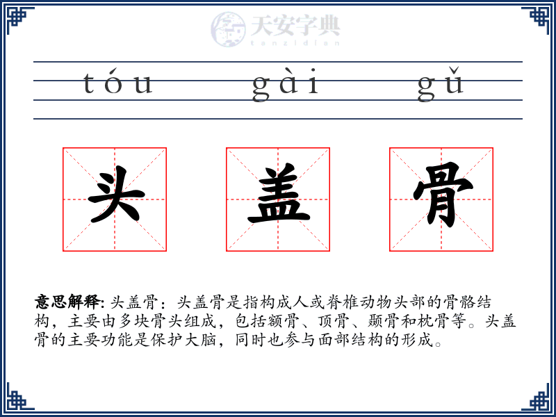头盖骨