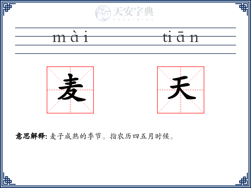 麦天