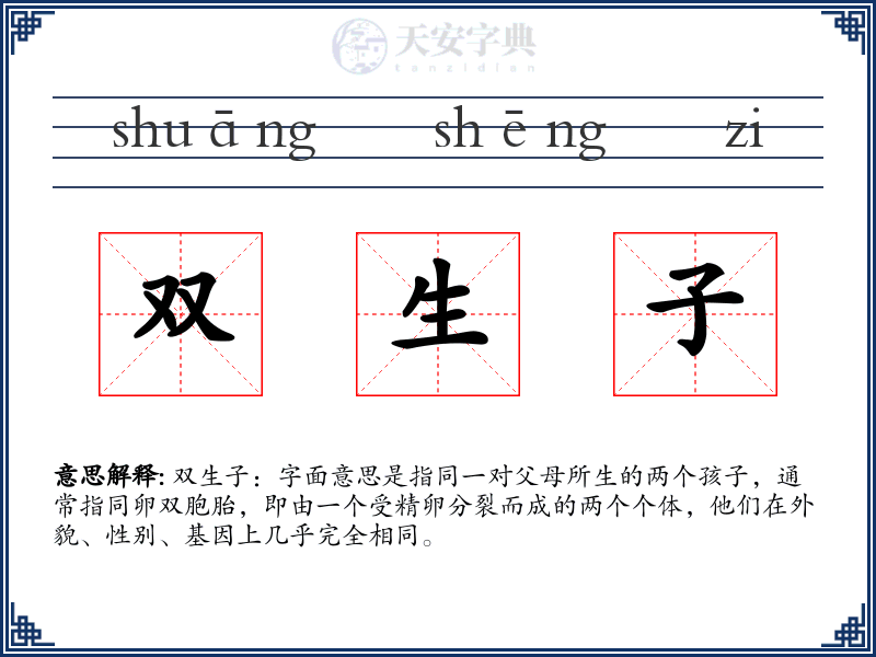 双生子
