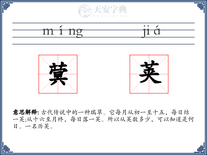 蓂荚