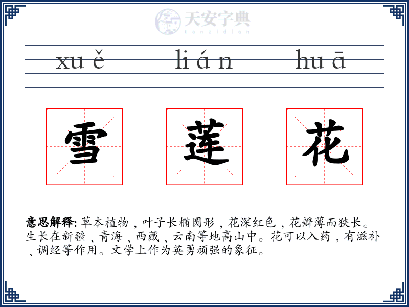 雪莲花