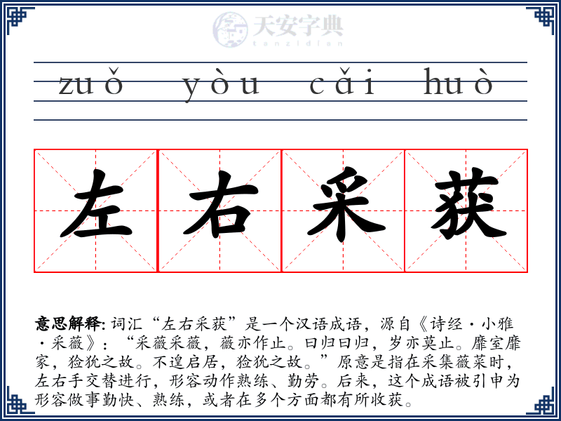左右采获