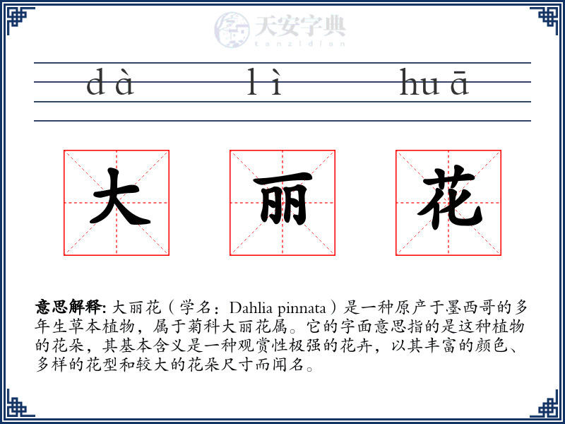 大丽花