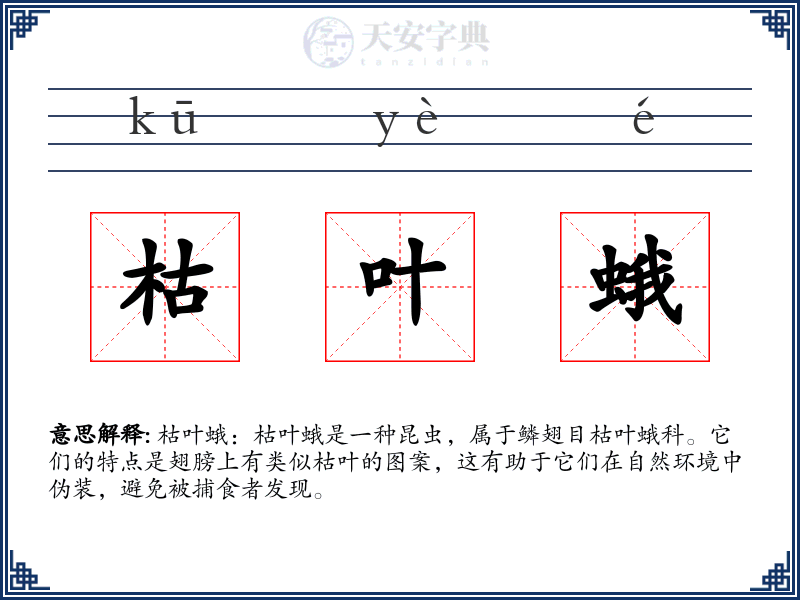 枯叶蛾