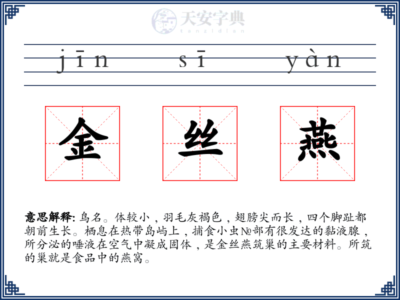 金丝燕