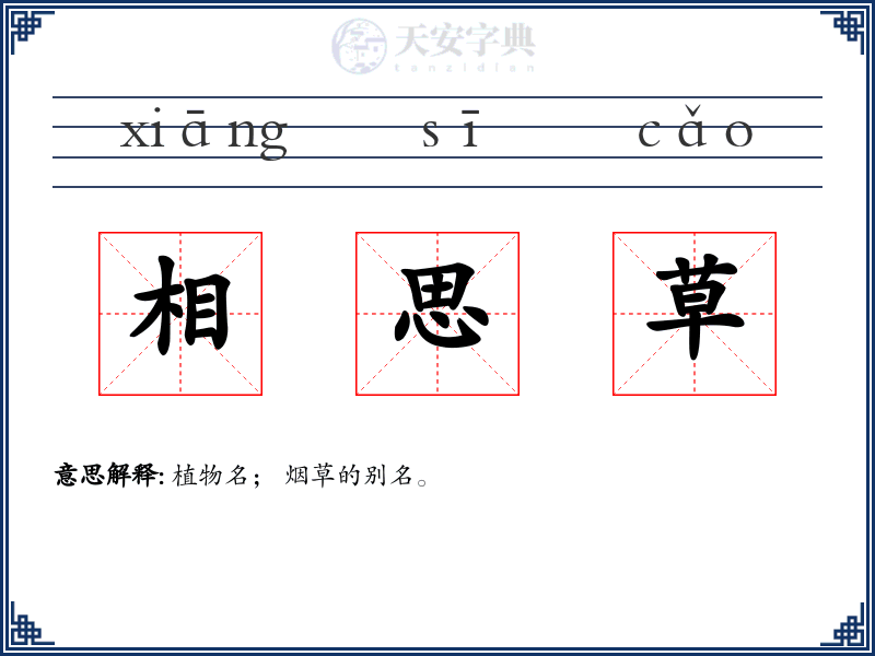 相思草