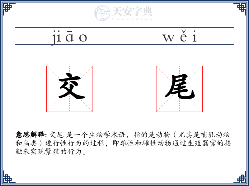 交尾