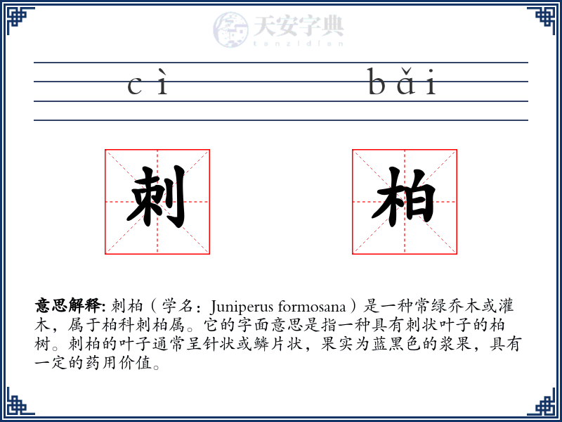 刺柏