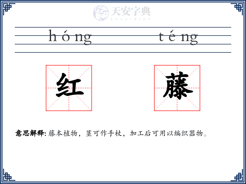 红藤