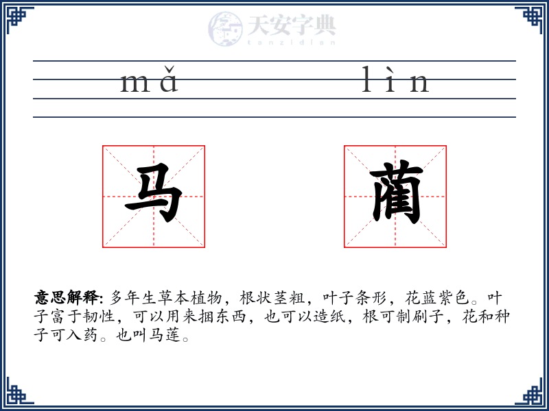 马蔺